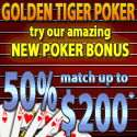 Casino Holdem Poker - 